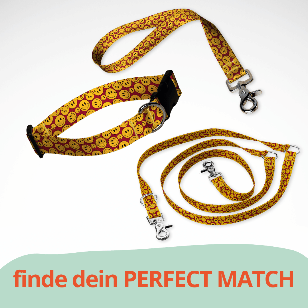 Set aus dreifach verstellbarer Hundeleine und Hundehalsband mit kostenloser Personalisierung mit Scherenkarabiner, Smiley rot gelb