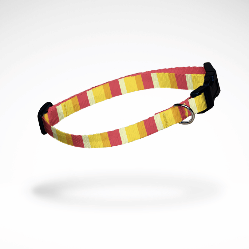 Blueberry Pet Hundehalsband - Verstellbar & Langlebig Für Kleine Hunde