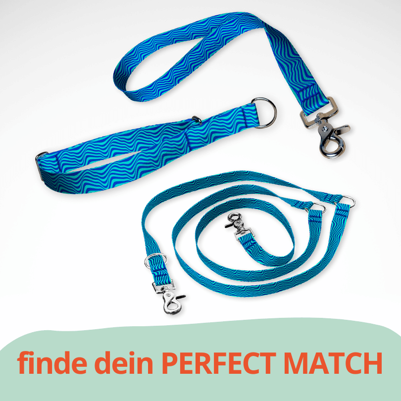 Set Zugstopp Halsband Martingale, dreifach verstellbarer Hundeleine und Kurzführer in türkis-blau