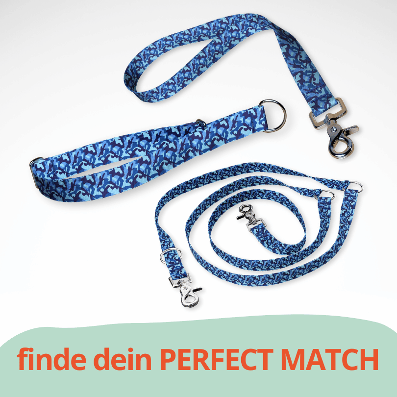 Set Zugstopp Halsband Martingale, dreifach verstellbarer Hundeleine und Kurzführer mit blauem Camouflage