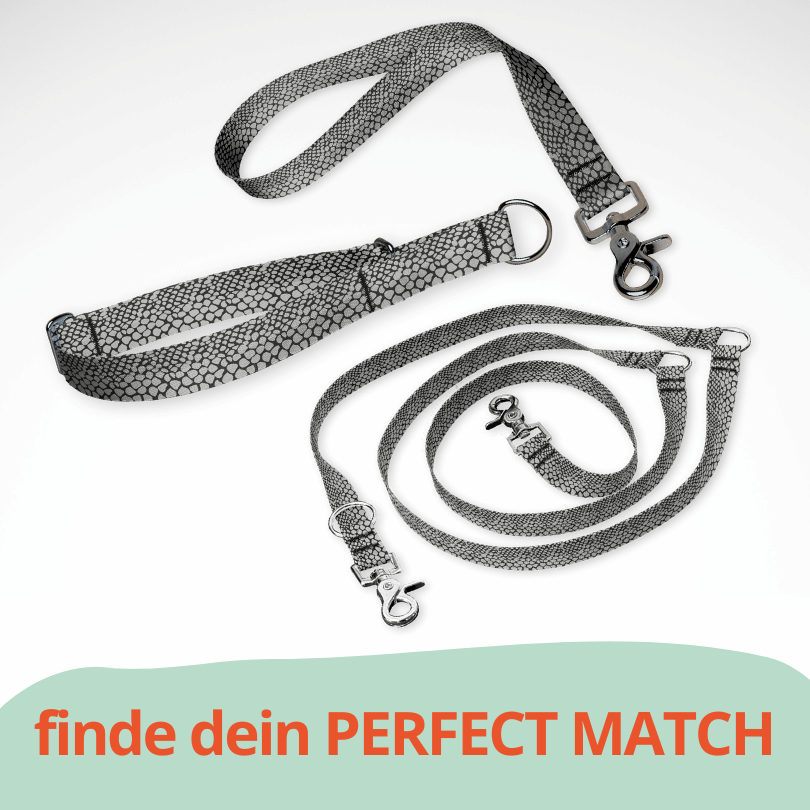 Set Zugstopp Halsband Martingale, dreifach verstellbarer Hundeleine und Kurzführer mit Tierprint Schlange