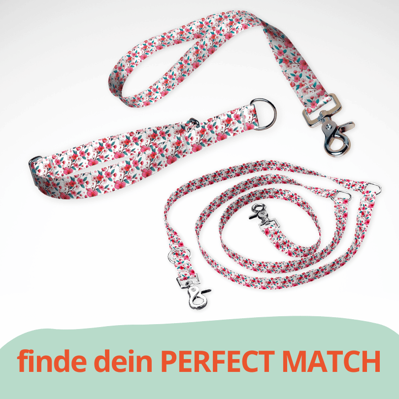 Set Zugstopp Halsband Martingale, dreifach verstellbarer Hundeleine und Kurzführer mit weiß pinken Kirschblüten