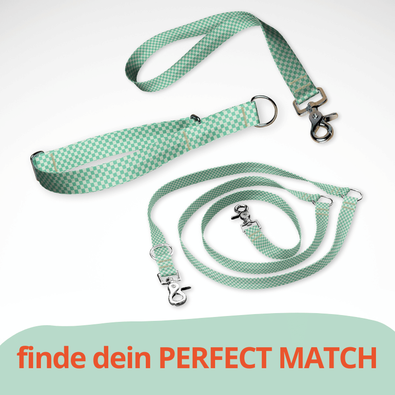 Set Zugstopp Halsband Martingale, dreifach verstellbarer Hundeleine und Kurzführer mit Vans Schachbrett Muster