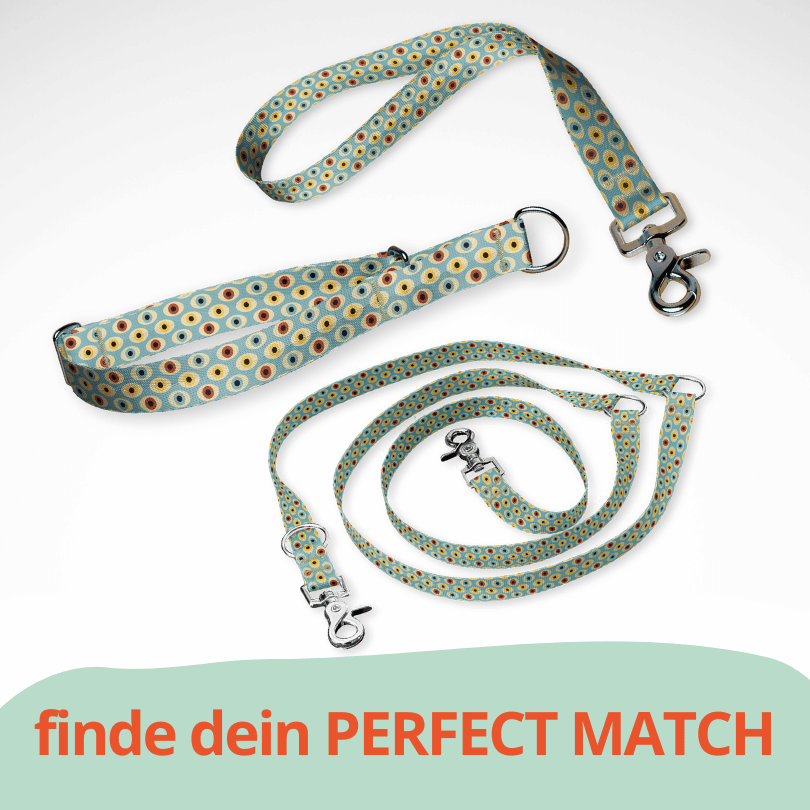 Set Zugstopp Halsband Martingale, dreifach verstellbarer Hundeleine und Kurzführer in mint grün bunt