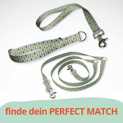 Set Zugstopp Halsband Martingale, dreifach verstellbarer Hundeleine und Kurzführer in mint grün bunt