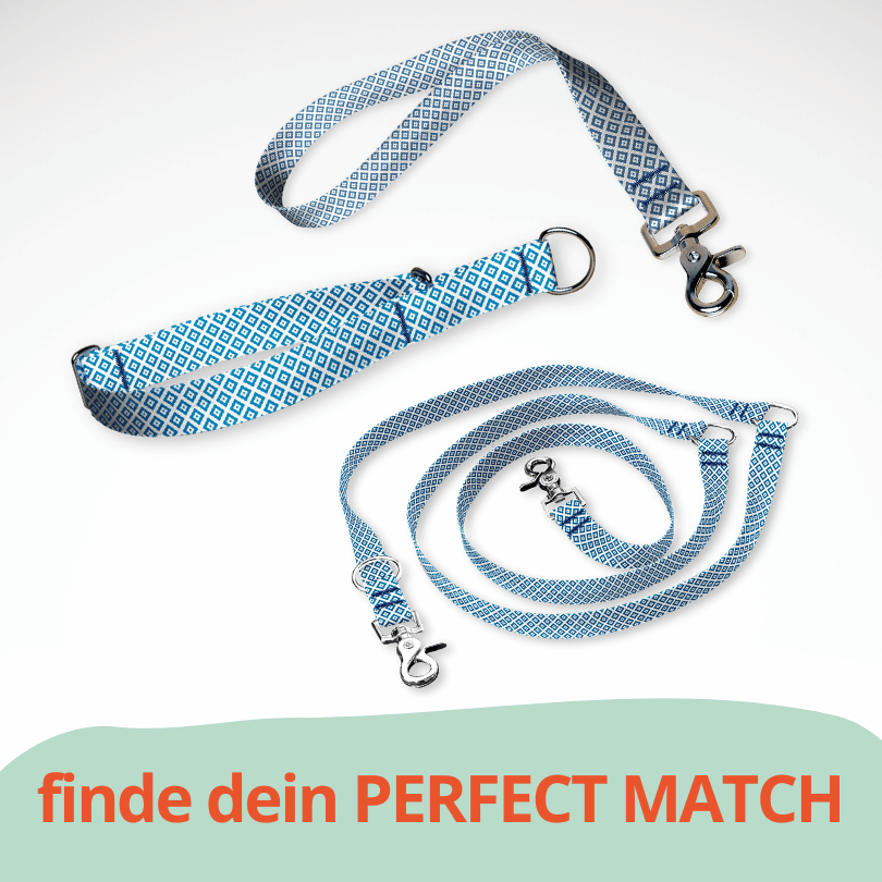 Set Zugstopp Halsband Martingale, dreifach verstellbarer Hundeleine und Kurzführer mit weiß blauem Muster