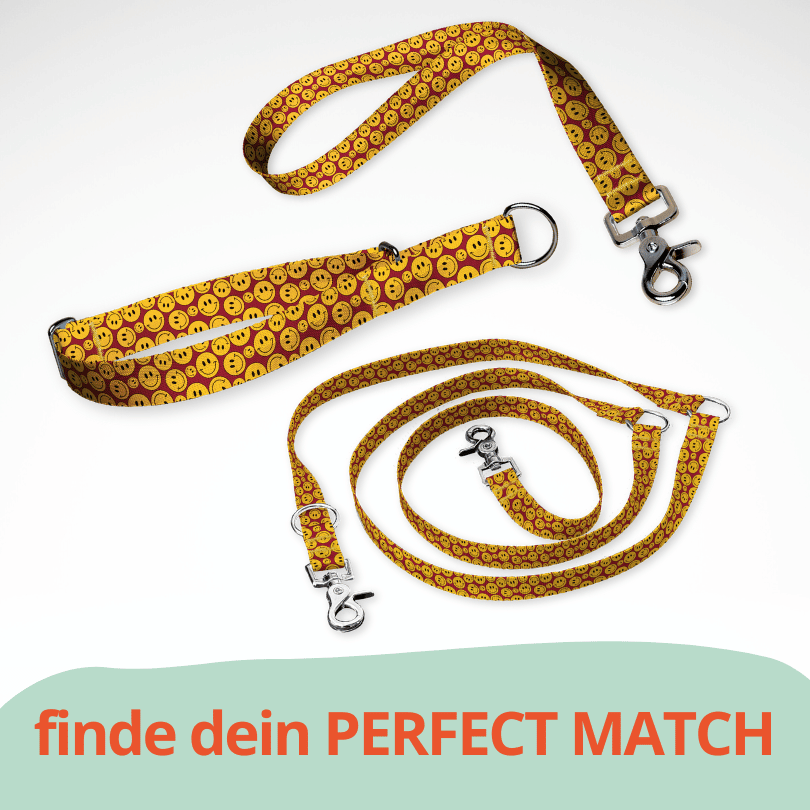 Set Zugstopp Halsband Martingale, dreifach verstellbarer Hundeleine und Kurzführer mit verspielten Emojis